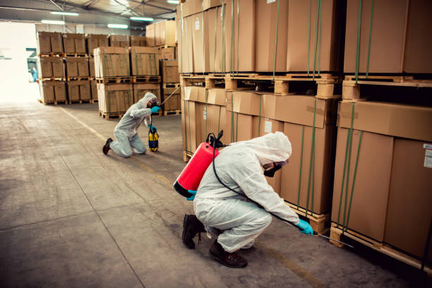 Flea Control Services in Port Washington North, NY