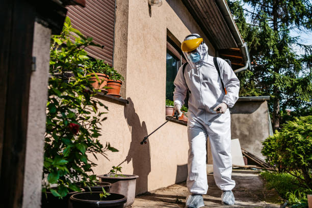 Professional Pest Control in Port Washington North, NY