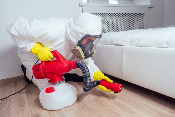Best Flea Control Services  in Port Washington North, NY