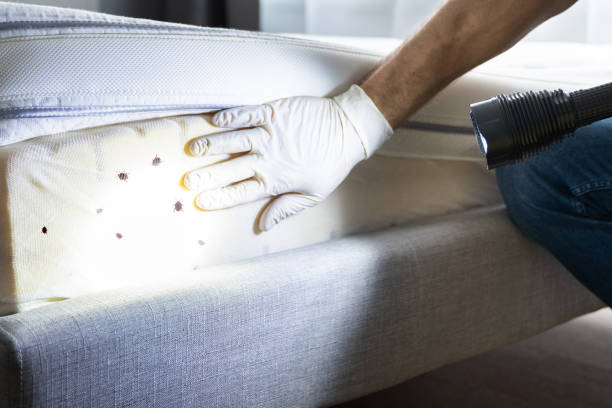Best Best Pest Control Companies  in Port Washington North, NY