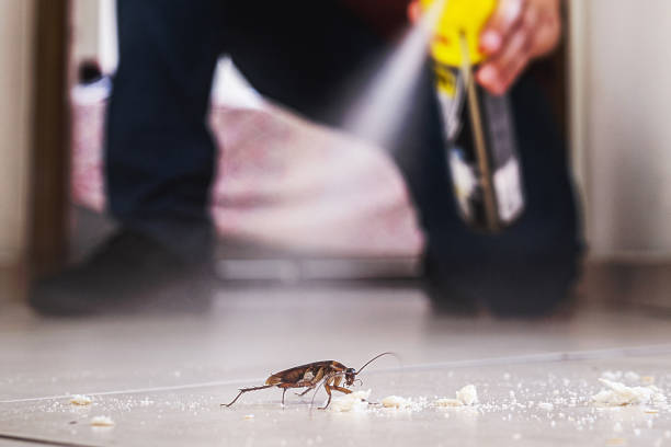 Best Termite Control Services  in Port Washington North, NY